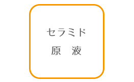 セラミド